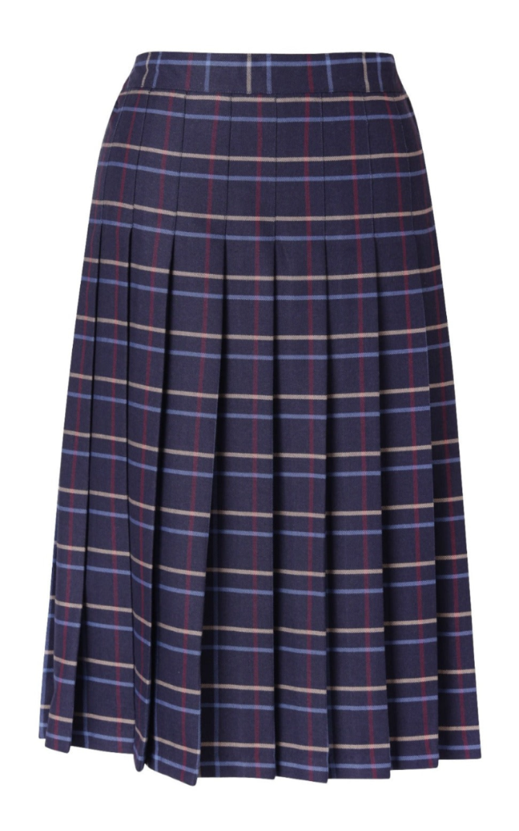 Kids Knife Pleated Skirt With ELASTIC in The Back Kids Sizes Regular/Long Length Plaid #559 - By Style