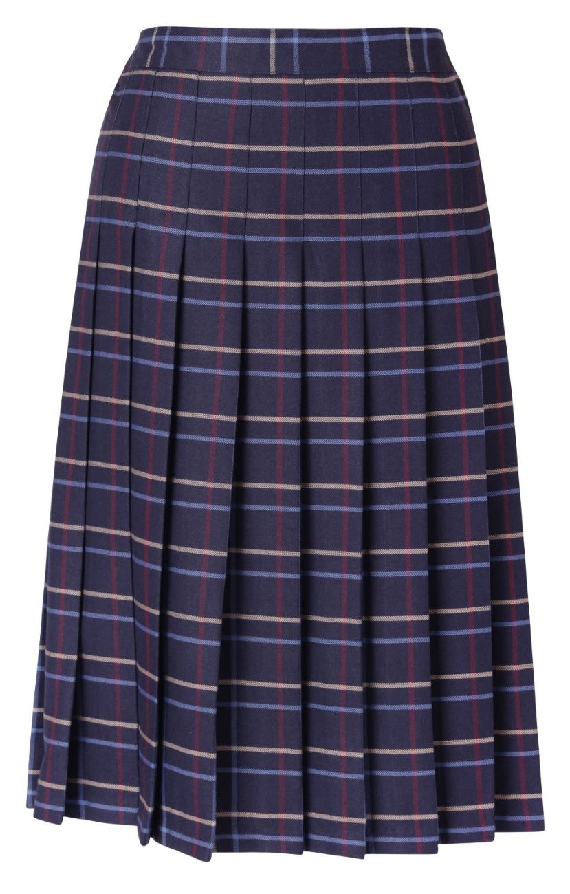 Kids Knife Pleated Skirt With ELASTIC in The Back Kids Sizes Regular/Long Length Plaid #559 - By Style